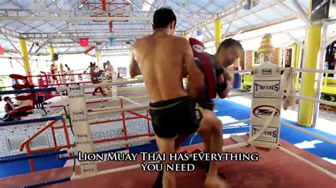 lion muay thai gym in rawai phuket thailand youtube