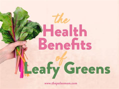 The Health Benefits Of Leafy Greens The Paleo Mom