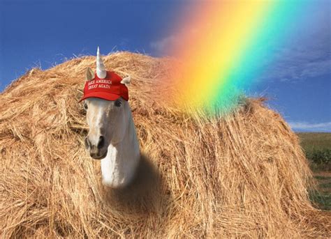 My Search For A Lesbian Donald Trump Supporter Huffpost Uk Politics