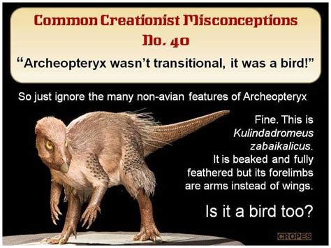 Creationist Misconceptions No 40 Archeopteryx Wasnt A Bird