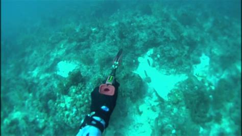 Spearfishing Florida Keys Youtube