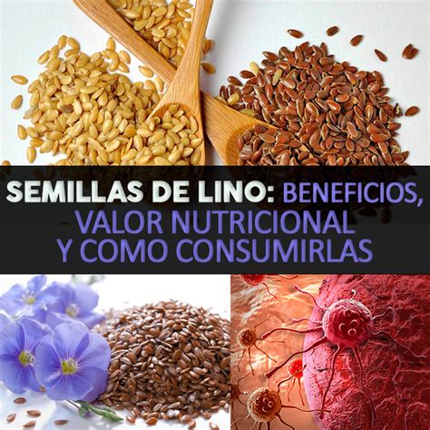 Semillas De Lino Beneficios Valor Nutricional Y Como Consumirlas La