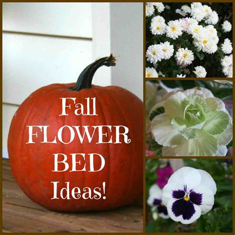 Quick And Easy Fall Flower Bed Ideas Home Garden Joy