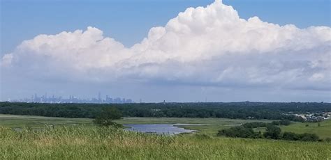 Facebook Live Join Us For A Nature Walk Freshkills Park