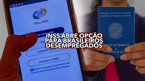 é Importante Destacar Separadamente As Contribuições