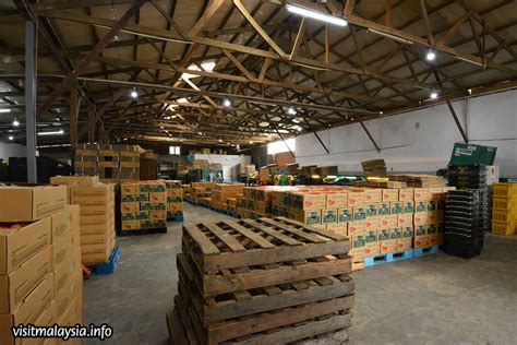 Wild boar farms offers some of the most outrageous tomato varieties available on the planet. KC Kwang & Sons Grape Farm