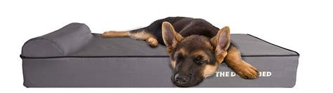 The 8 Best Dog Beds For German Shepherds Reviews And Guide 2024