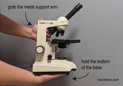 Compound Microscope Parts Labeled Diagram And Their Functions Rs