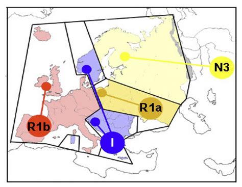 The Indo European Demic Diffusion Model And The R1b Indo European