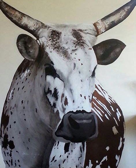 42 Best Nguni Cattle Art Images Nguni Cattle Nguni Cattle