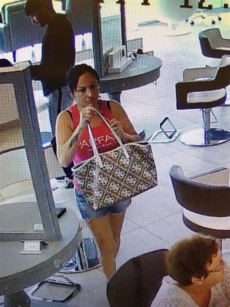 Police Catch Suspected Handbag Thief