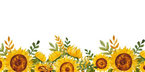 Marco De Girasoles Acuarela 11660734 Png