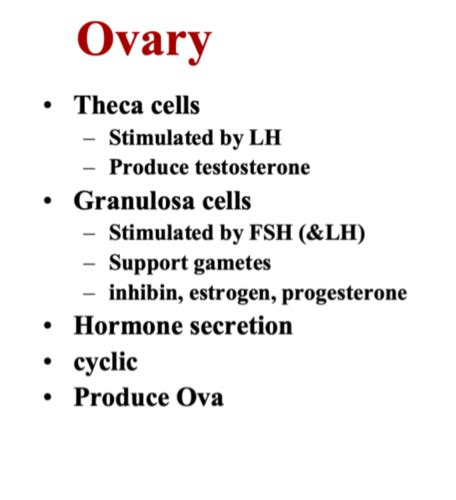 Endo 6 Reproductive Hormones Flashcards Quizlet