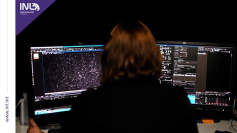 “Shine bright like a diamond” gains a meaning in Parkinson’s research - INL