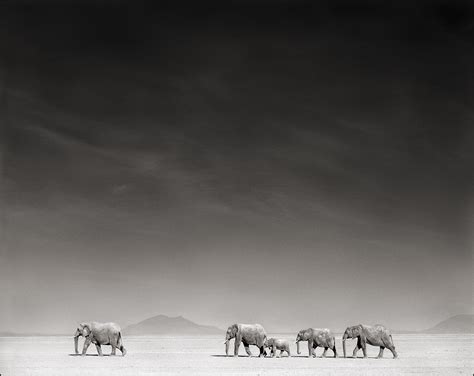 Source Photographica Collections Nick Brandt