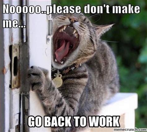 Nooplease Dont Make Me Go To Work Back To Work Humour Work