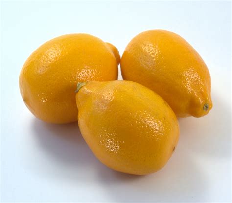 Lemon Meyer Woolco Foods