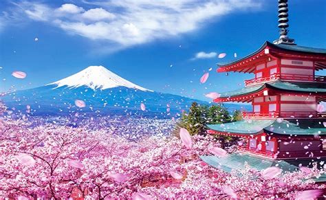 Tuyển Chọn 500 Ảnh đẹp Về Nhật Bản Với Cảnh Quan Tươi đẹp Và Hình ảnh