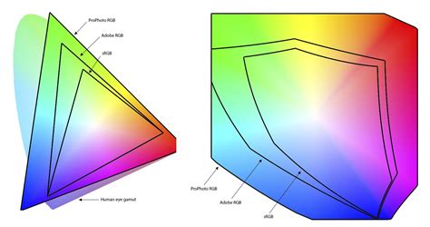 Camera Color Spaces Explained Srgb Vs Adobe Rgb Vs Raw Lightroom