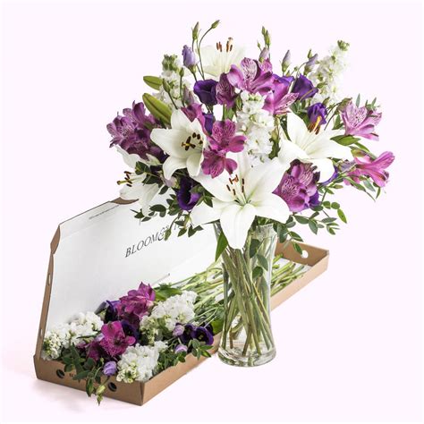 If you are looking for ways to support someone after a death, check out our post how to support a grieving family member or friend. 'congratulations' Letterbox Flowers By Bloom & Wild ...