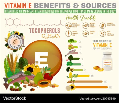 vitamin e benefits royalty free vector image vectorstock