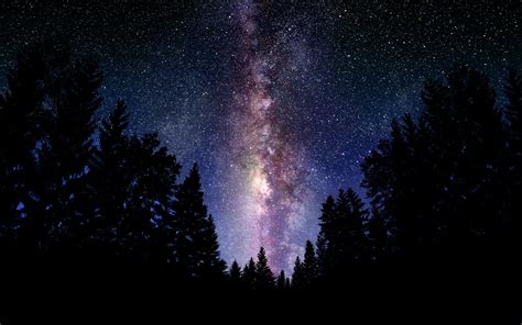 Landscape Sky Stars Forest Night Wallpaper 1680x1050 716103