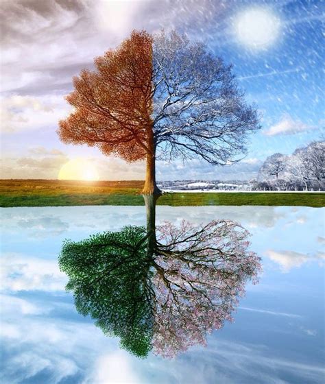 33 Best Projects 4 Seasons Images On Pinterest Four Seasons Weather