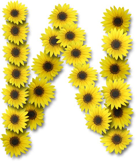 Alfabeto Sunflowers W Flores Margaridas Margaridas Arte Girassol
