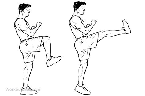 Front Kicks Workout Guide Exercise Kicks