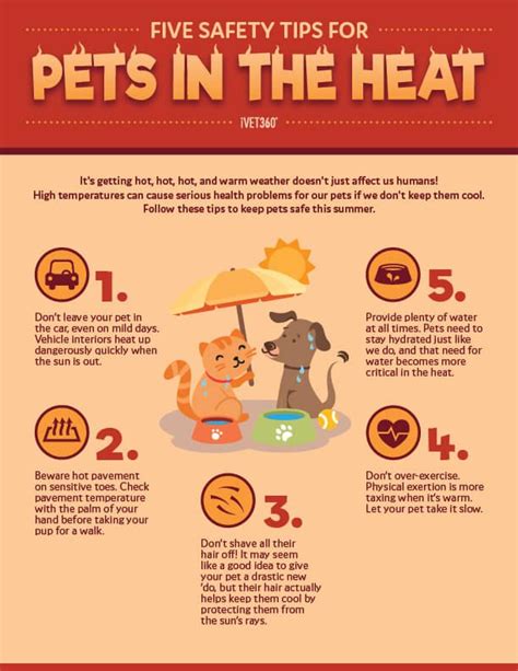 5 Safety Tips For Pets In The Heat Infographic Pet Safety Heat