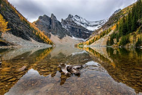 Autumn Is Beautiful In The Canadian Rockies Larch Trees Reflecting