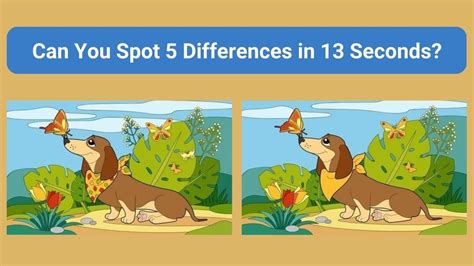 Spot The Difference Can You Spot 5 Differences Between The Two Images