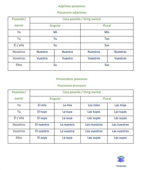 Possessives In Spanish