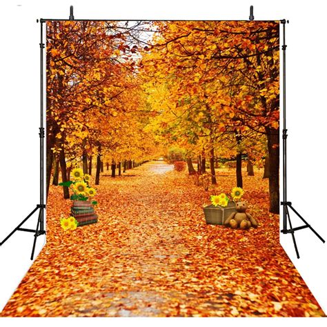 Scenic Photography Backdrops Forest Vinyl Backdrop For