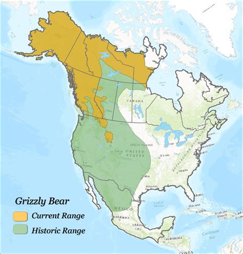 Historical And Current Grizzly Bear Range In North America