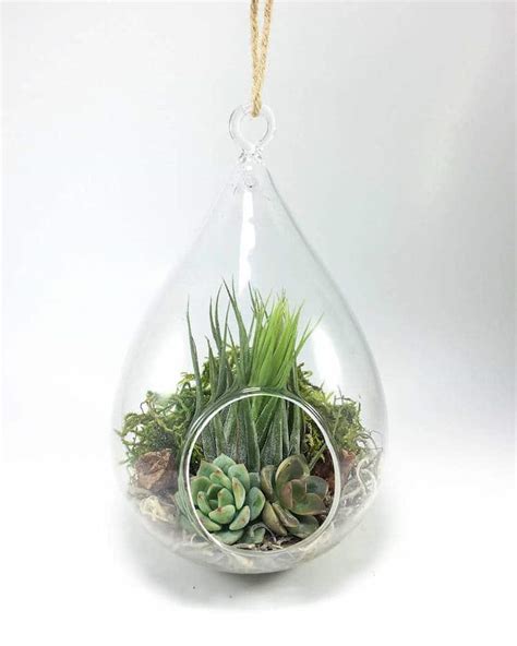 Learn How To Make A Diy Terrarium In 3 Easy Steps