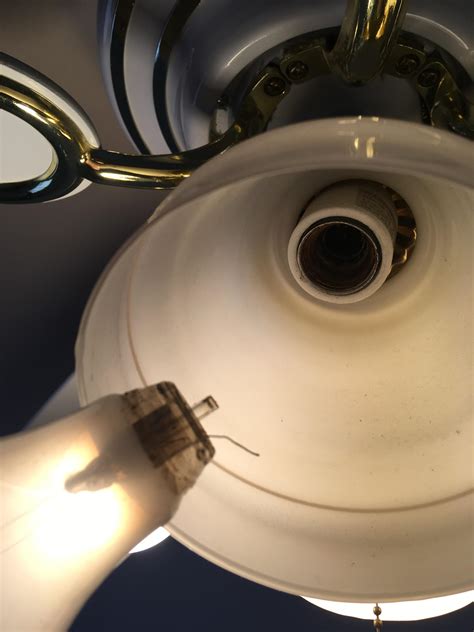 Check spelling or type a new query. I have a light bulb from 1998 in my basement, I use it ...