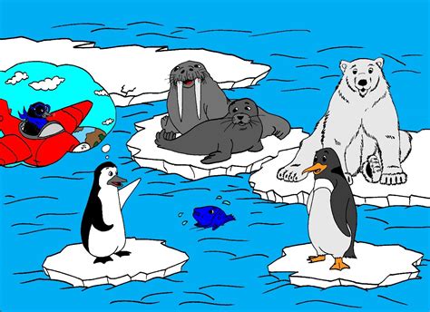 Tino le pingouin voyageur | Arche du Livre Les-animaux-polaires-Savane