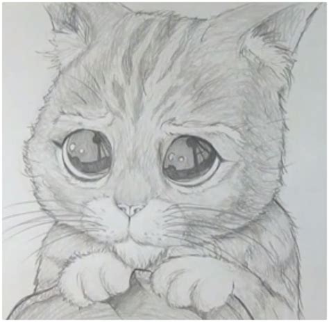 Ver más ideas sobre paisajes, pinturas de paisajes faciles, paisajes dibujos. Imágenes para dibujar a lápiz | Imágenes