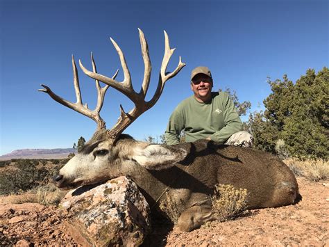 Arizona Deer Hunting — High Point Outfitters