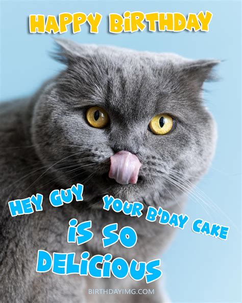 Happy Birthday Cute Cat Meme