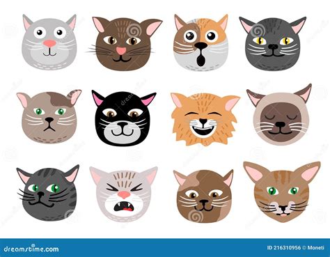 Cute Cats Face Emotions Funny Funny Cat Characters Faces Animals