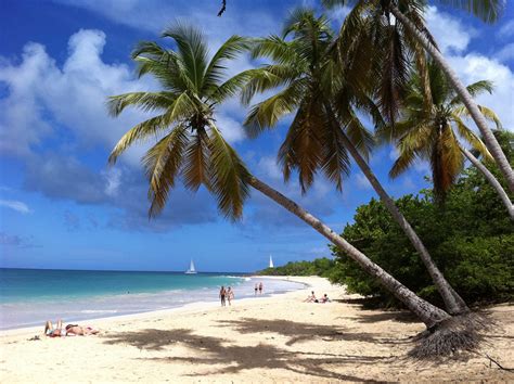 Lieux Visiter Imp Rativement En Martinique Pendant Vos Vacances