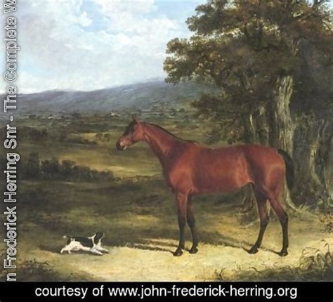 Bay And Spaniel In Landscape 1830 By John Frederick Herring Snr Oil