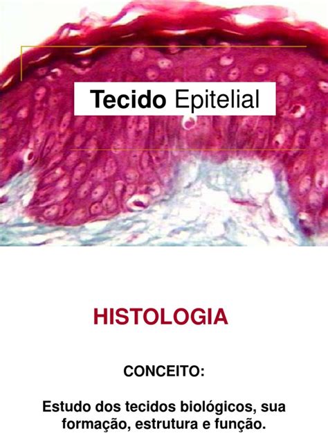 Aula 03 E 04 Histologia Tecido Epitelial Epitélio Glândulas