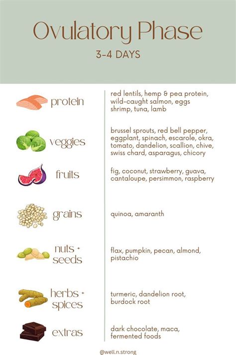 Foods To Focus On During Your Ovulatory Phase Artofit