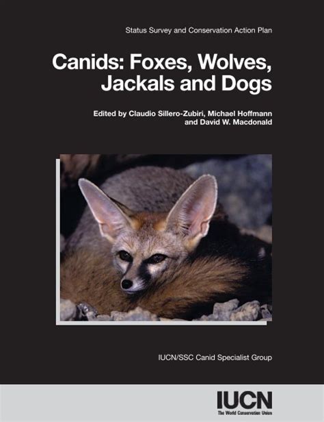 Canids Foxes Wolves Jackals And Dogs Carnivore Conservation