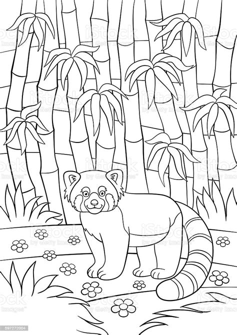 Coloring pages are fun for children of all ages and are a great educational tool that helps children develop fine motor skills, creativity and color recognition! Coloring Pages Little Cute Red Panda In The Forest Stock ...
