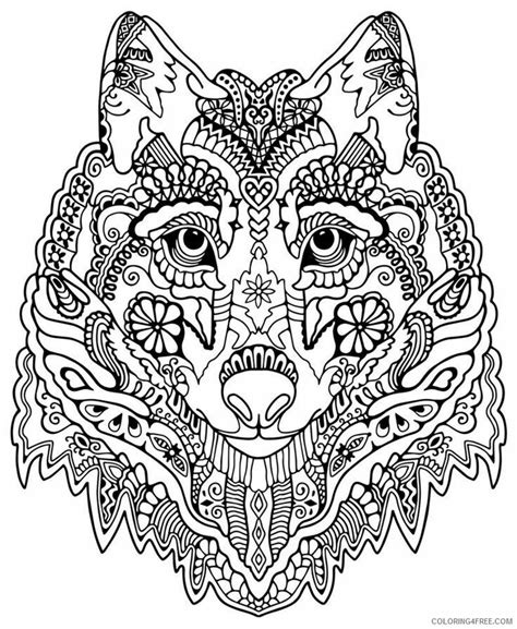 Advanced Coloring Pages Of Animals Printable Sheets Ideas About Adult