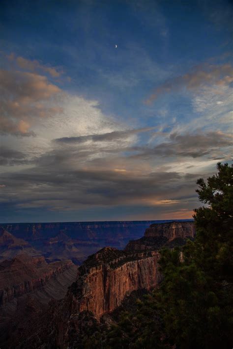 Walking Arizona Moon Over The Canyon